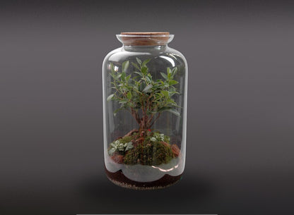 Nanogarden Terrario Retusa Mountain 41x25cm_1