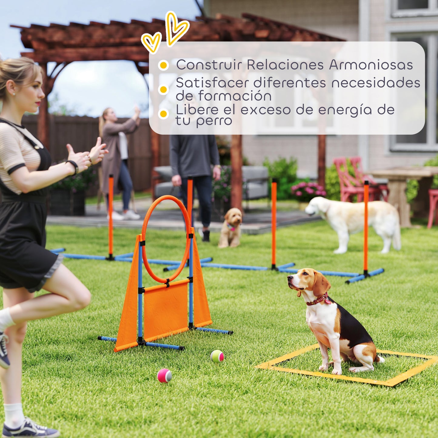 Pawhut Set De Entrenamiento De Agilidad Para Perros De 6 Piezas Naranja_5
