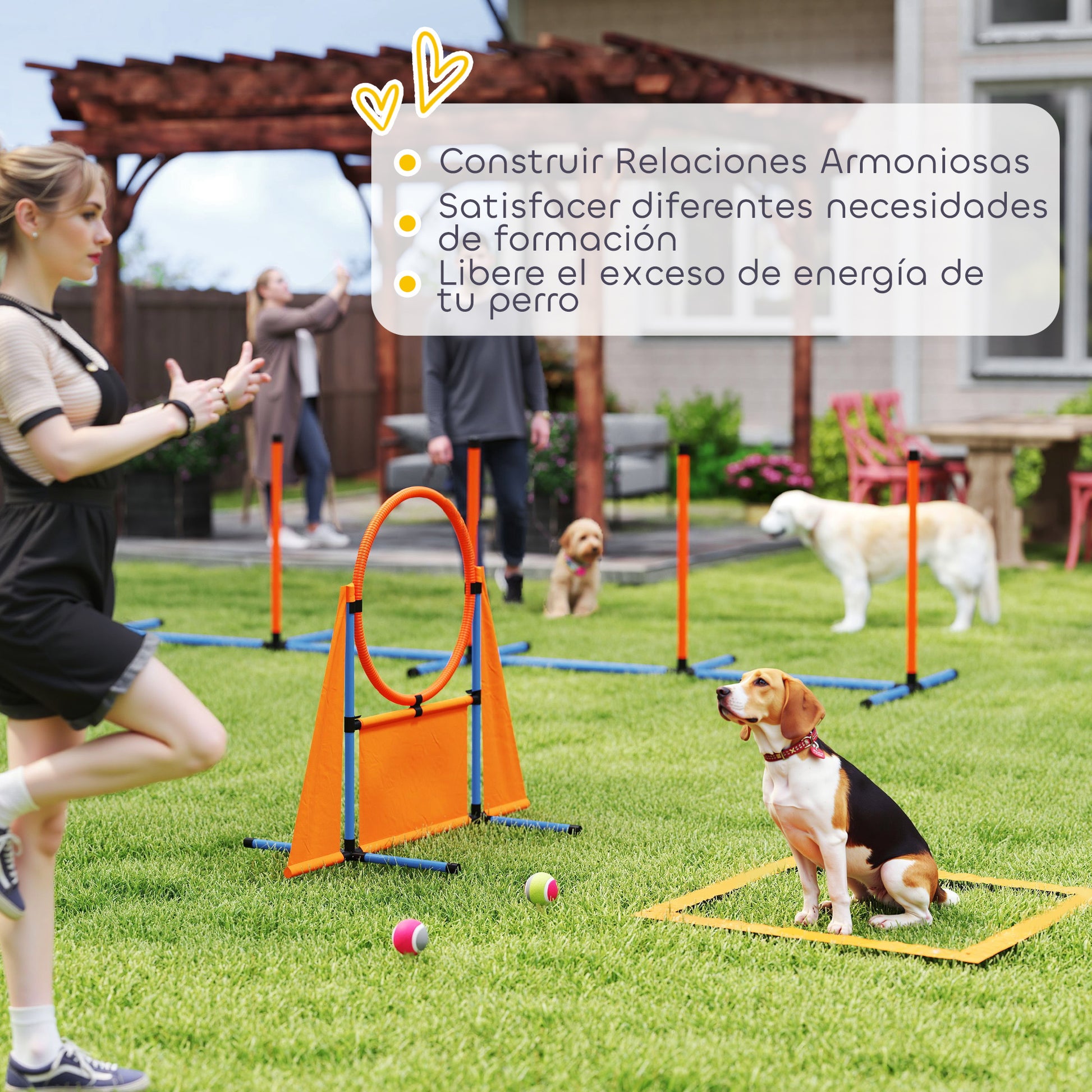 Pawhut Set De Entrenamiento De Agilidad Para Perros De 6 Piezas Naranja_5