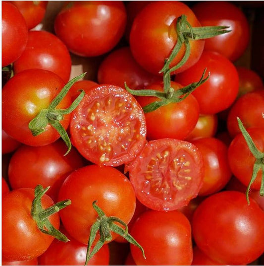 Semillas Tomate Cherry Miel Du Mexique Ecológicas