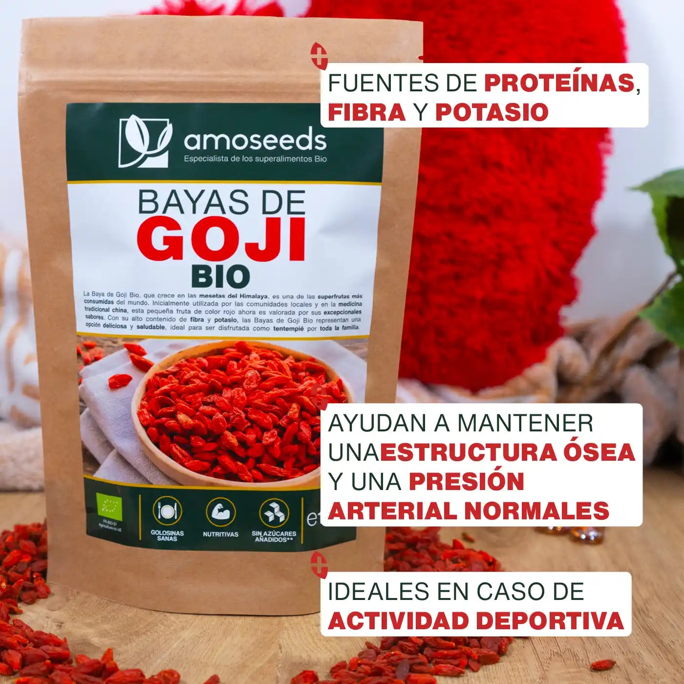Bayas De Goji Bio 1kg_2