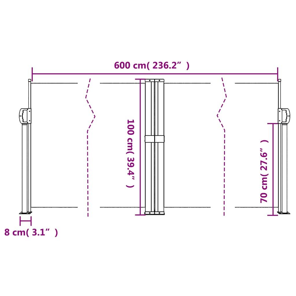 Vidaxl Toldo Lateral Retráctil Gris Antracita 100x600 Cm_2