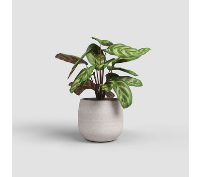 Artevasi Macetero Hemera Crema De Plástico Reciclado 20cm_1