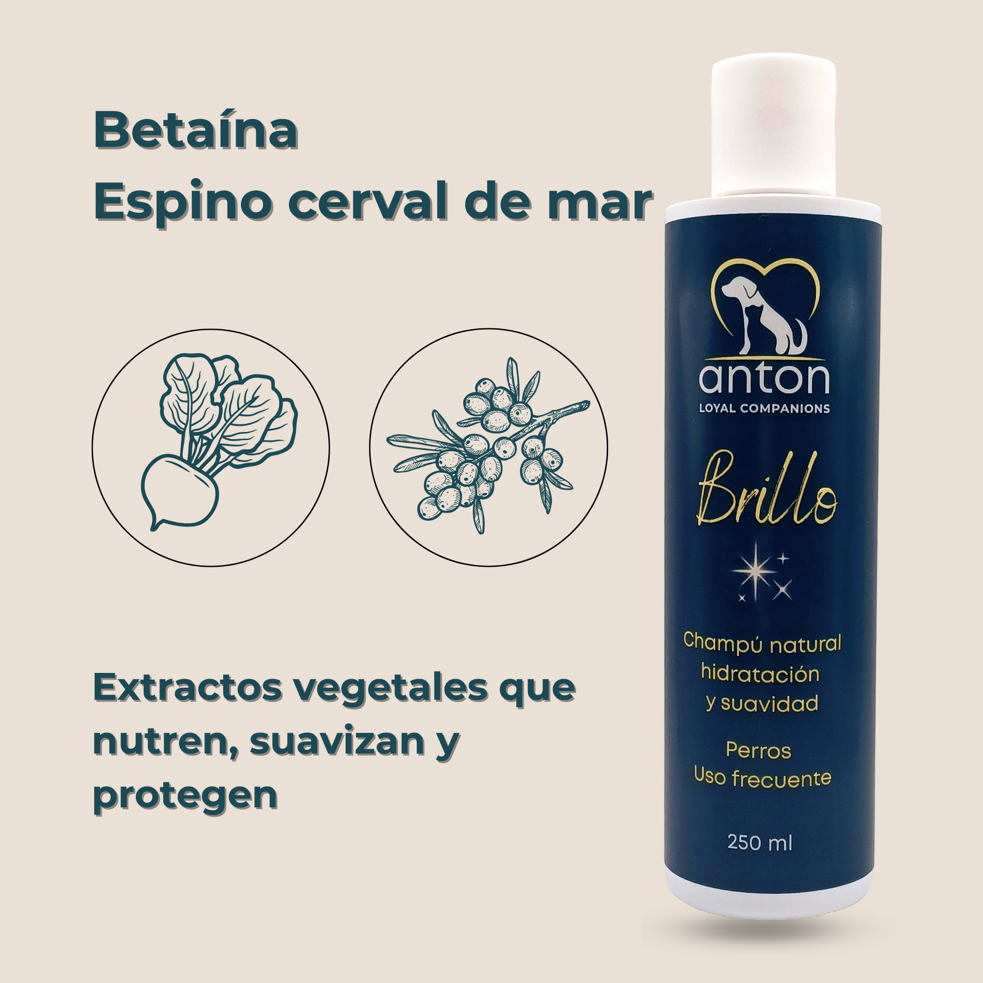 Champú natural para el cuidado del pelaje de perros – Pack 2 x 250 ml_3
