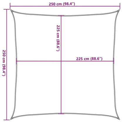Vidaxl Toldo De Vela Hdpe Verde Claro 160 G/m² 2,5x2,5 M_2