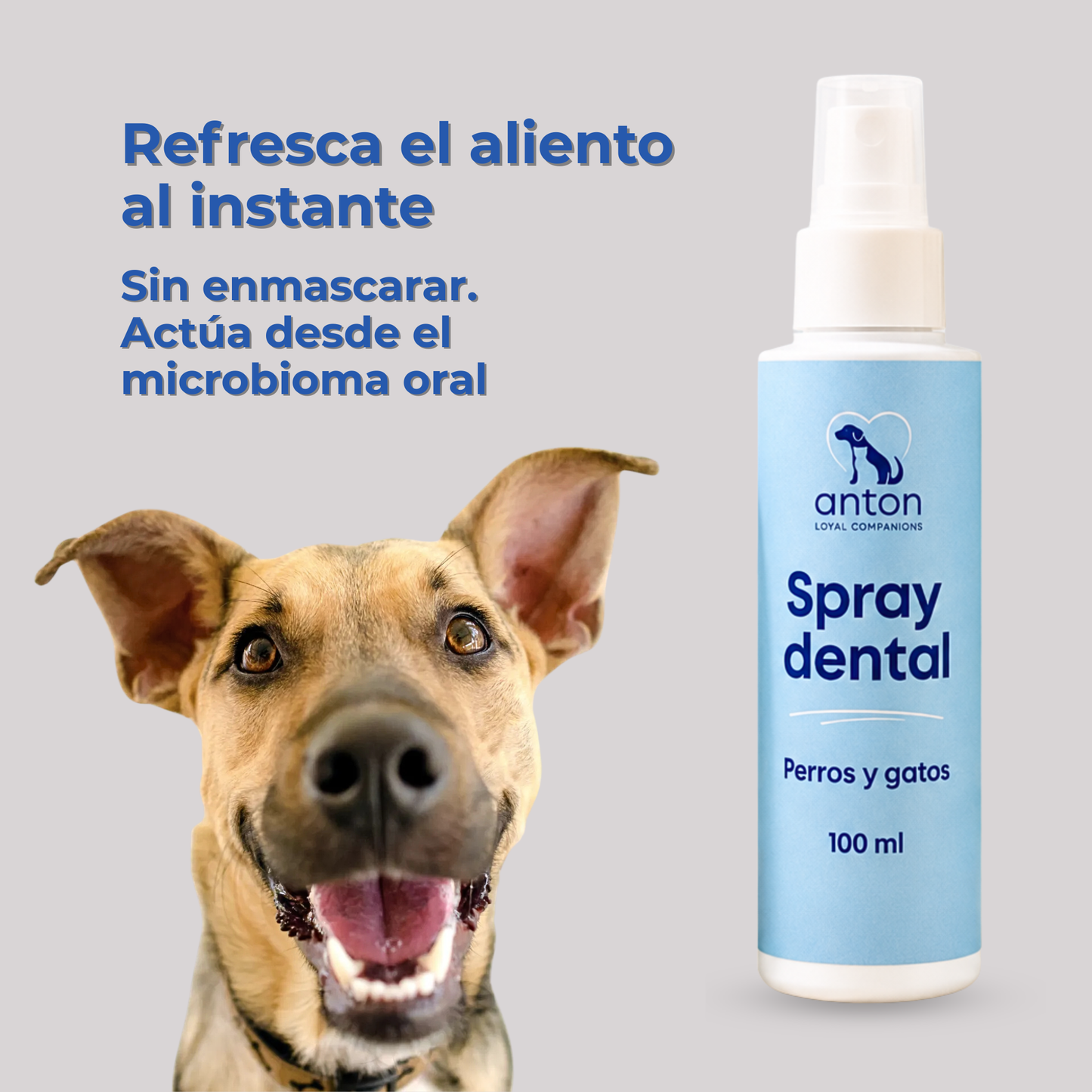 Spray dental natural para la higiene bucal diaria de perros y gatos – 100 ml_1