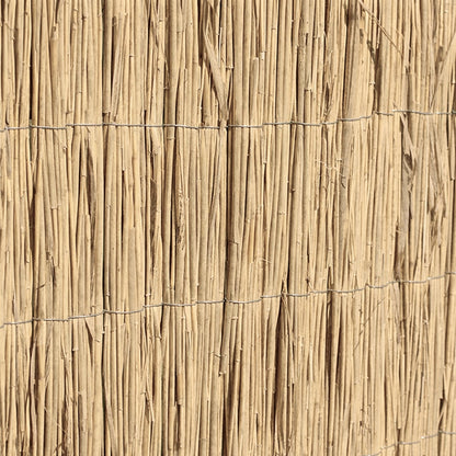Bambú Pelado Multi Varilla Reed Multi 2x5 M Nortene_2
