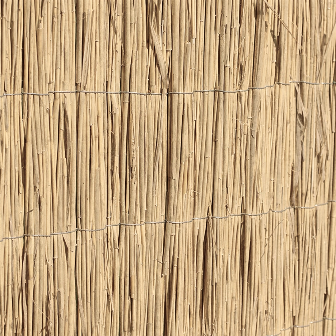 Bambú Pelado Multi Varilla Reed Multi 1.5x5 M Nortene_2