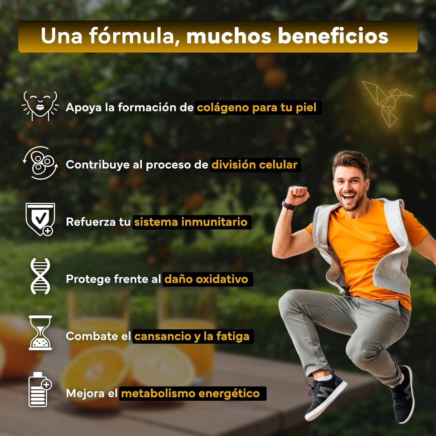 Vitamina C con Zinc Bioflavonoides y Rosa Mosqueta Sevens Nutrition 180 cápsulas