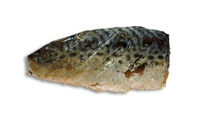 Kit Cat FilletFresh - Caballa a la parrilla 30 g Snack natural para gatos