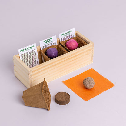 Mini Huerto De Extrañas Hortalizas (acelga Arcoíris, Zanahoria Morada Y Brócoli Rosa) | Regalo Original_1