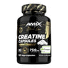 Creatine Creapure Capsules 120 Caps