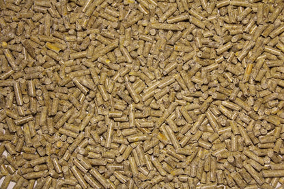 Pienso ECOLÓGICO para Cerdas Gestantes 20kg – Alimentación Natural y Equilibrada. Nutrición Óptima para la Gestación_5