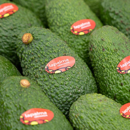 Aguacate Hass 2kg, Origen España, Andalucía (costa Tropical)_4