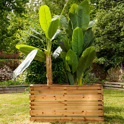 Jardinera rectangular 100 Lign Z 202 L