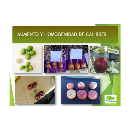 Fertilizante  Potasio VPotash 5 Chamae 1 litro Ecológico. Jardinería. Potasio verde. Aplicación al suelo y foliar.