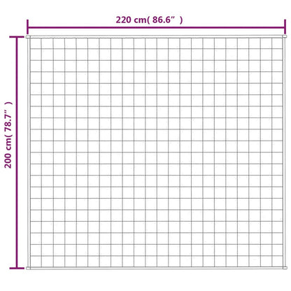 Vidaxl Manta Con Peso Tela Color Crema Claro 200x220 Cm 13 Kg_5