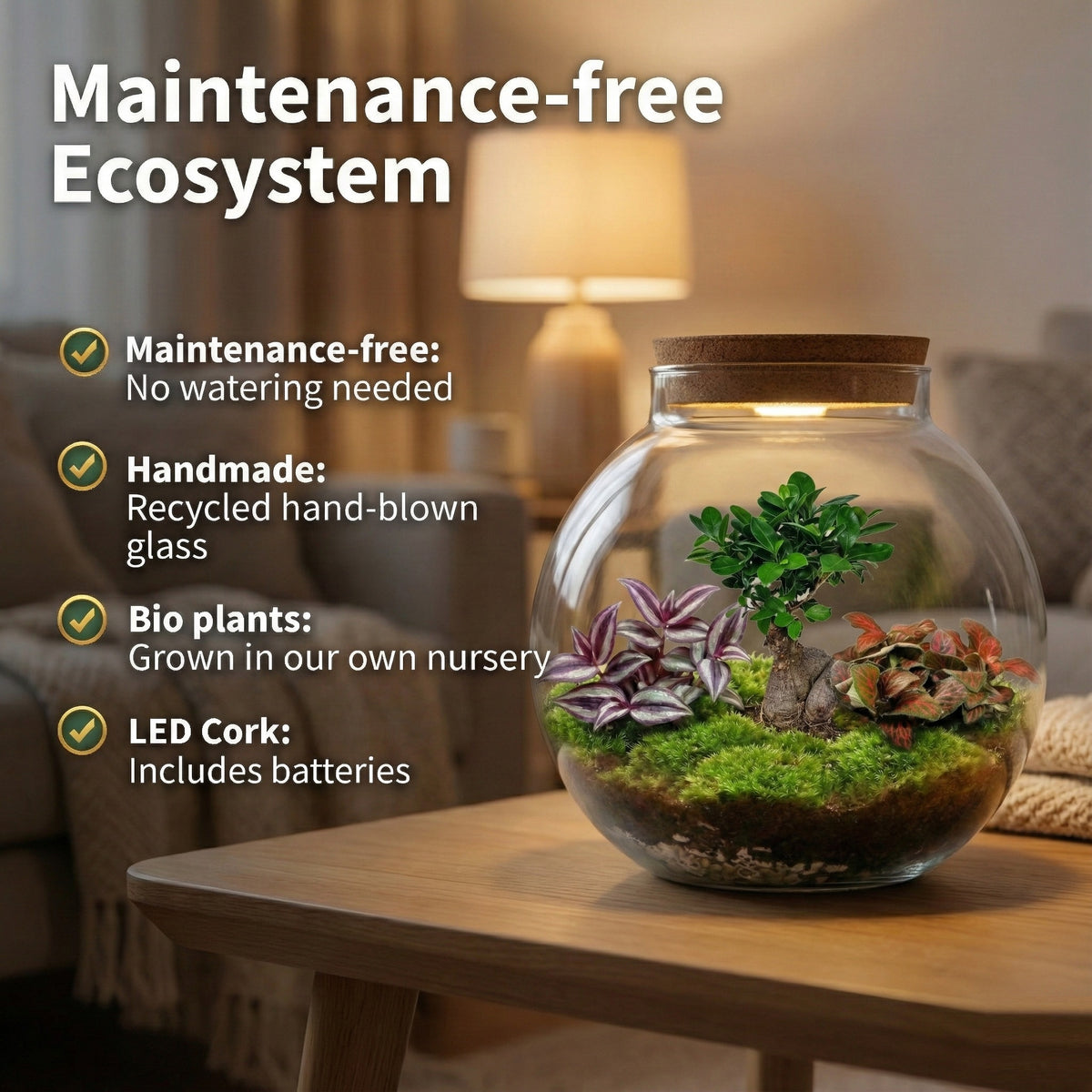 Bonsái Terrario Ecosistema 'biodome' - Ø25 Cm_2