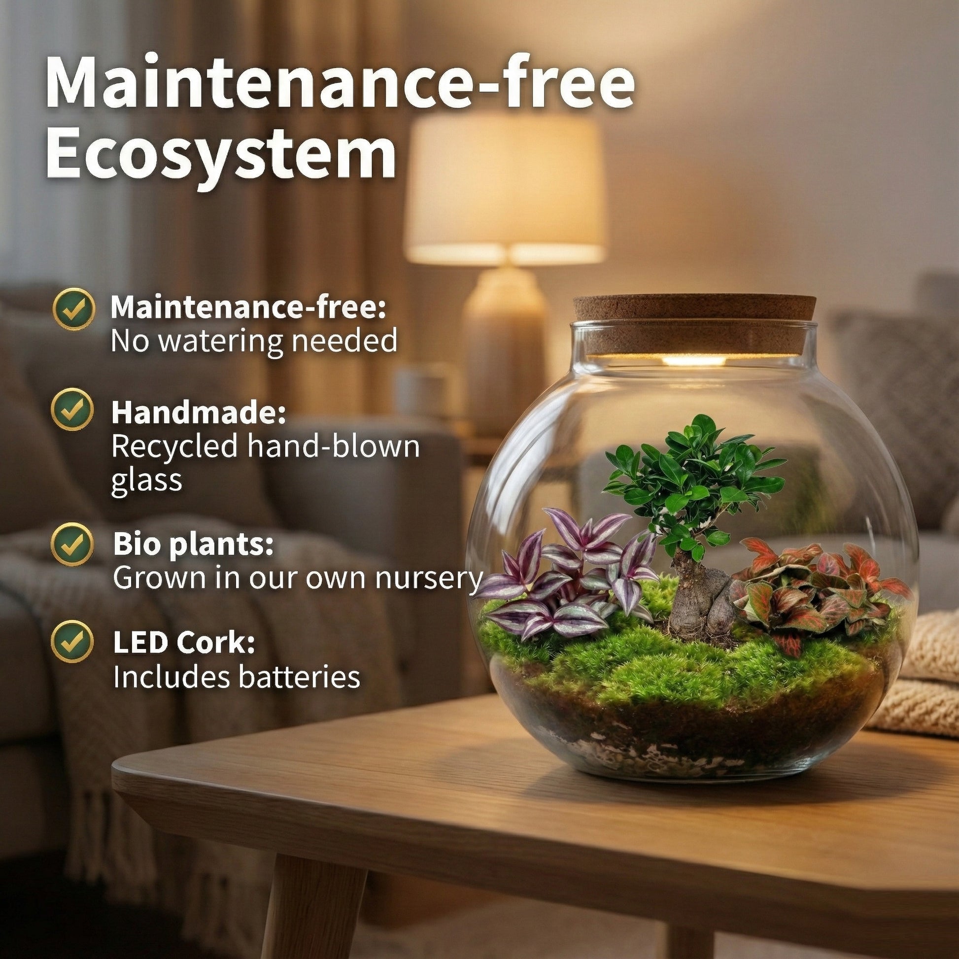 Bonsái Terrario Ecosistema 'biodome' - Ø25 Cm_2
