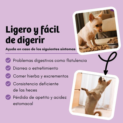 BugBell BellyVital Pienso – hipoalergénico, sin cereales, con proteína de insecto, psyllium y arándanos