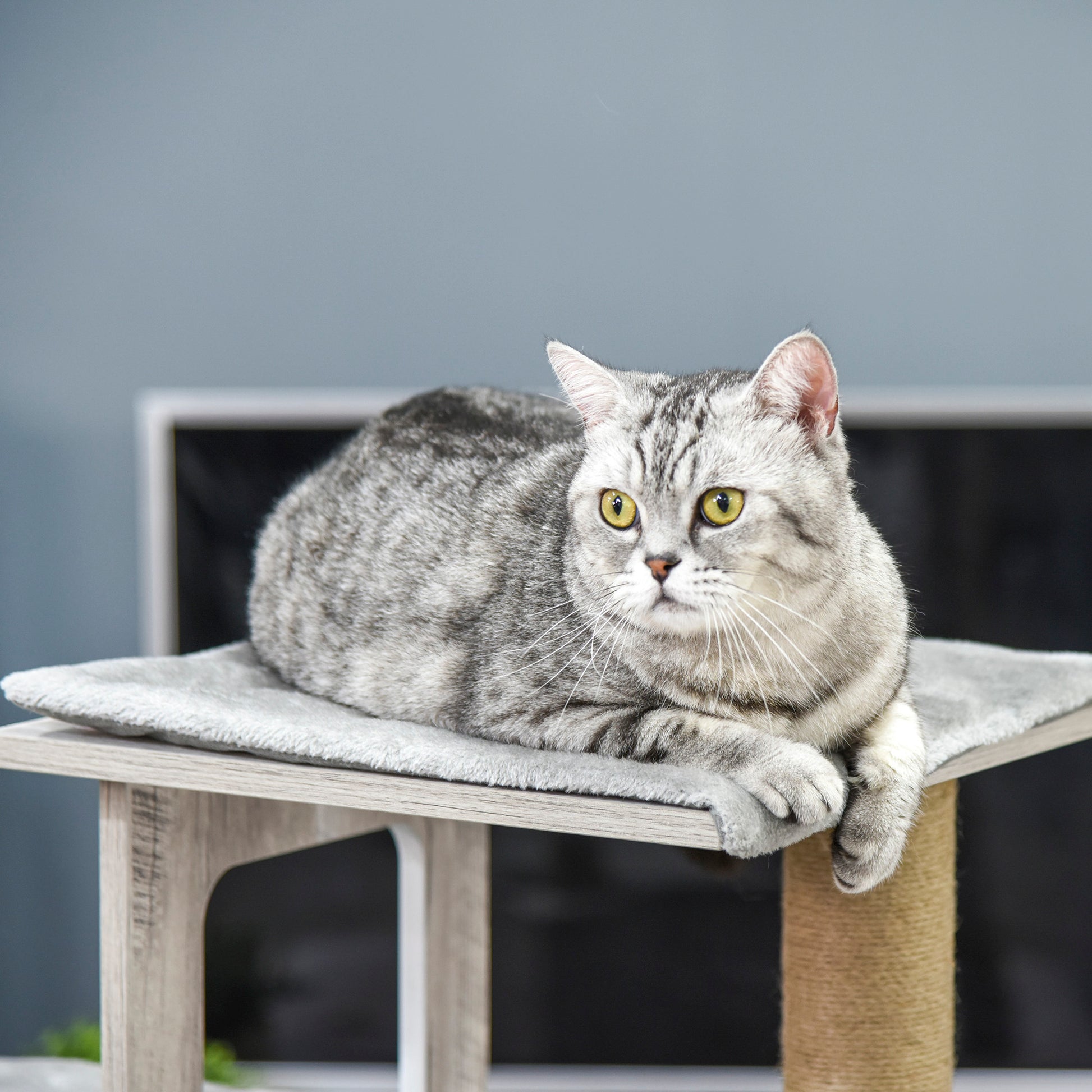 Pawhut Árbol Rascador Para Gatos Con Cueva Plataformas Y Postes De Rascar De_3