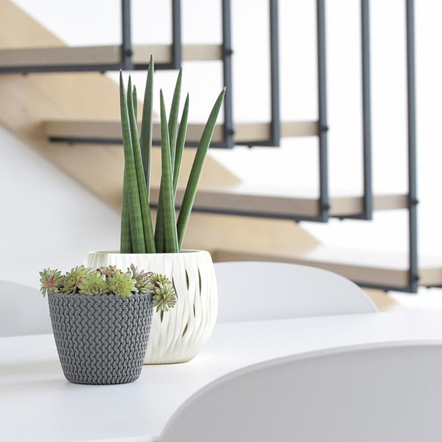 Maceta Redonda 18,6l Prosperplast Splofy De Plastico En Color Antracita, Ø34,1 X 28,9 Cm_3