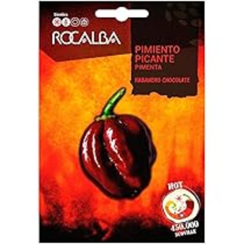 Semillas Pimiento Picante Habanero Chocolate_0