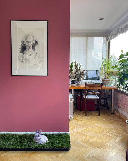 Petground Recambio XL, Cama Para Mascotas, Empapador, Alfombra Olfativa, Césped Natural_2