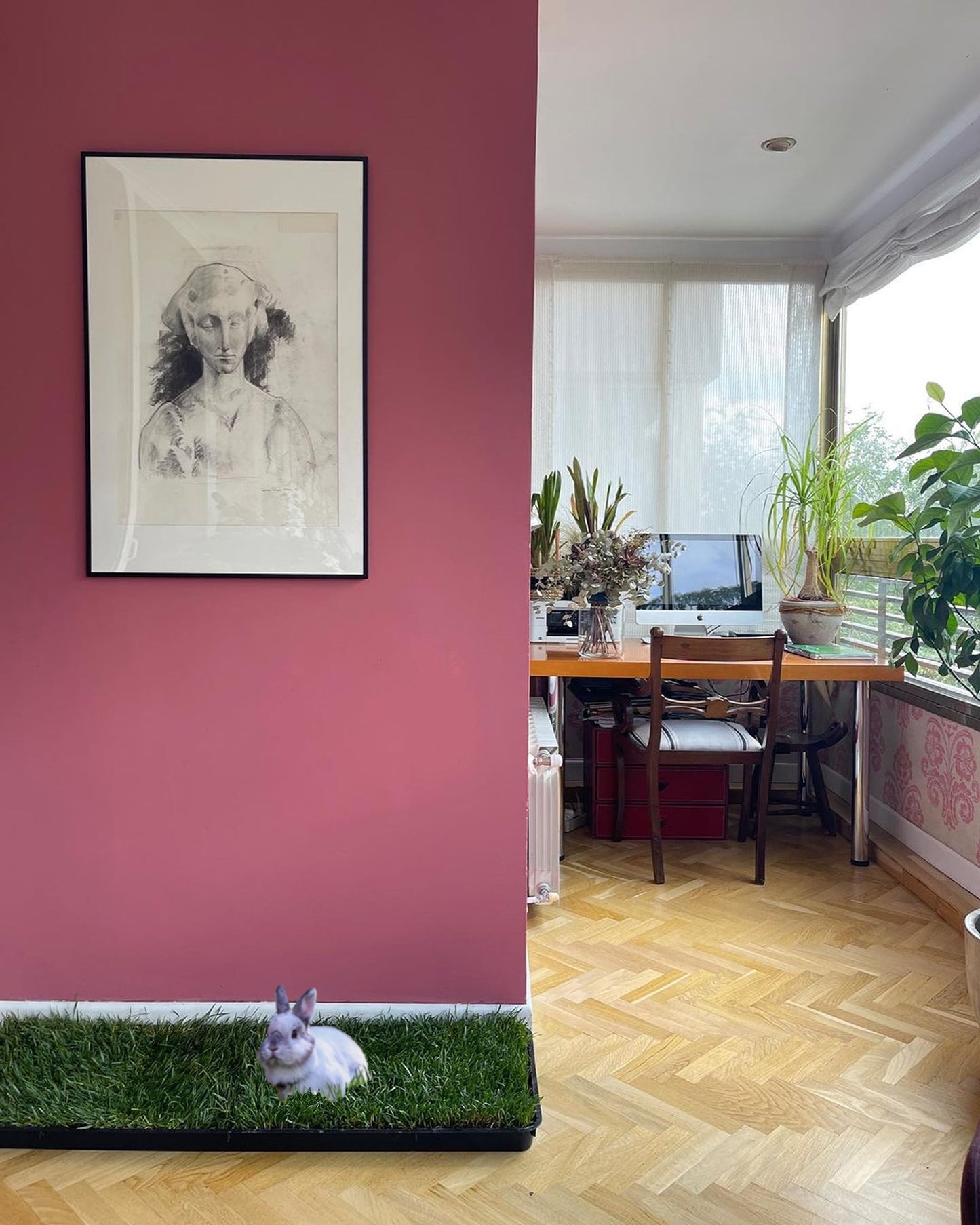 Petground Recambio Xl, Cama Para Mascotas, Empapador, Alfombra Olfativa, Césped Natural_2