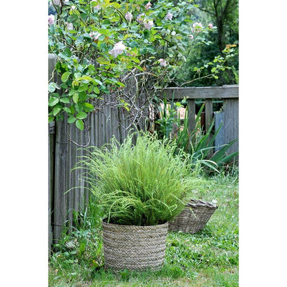 Cubremacetas Basket Rinia Natural 35x32cm