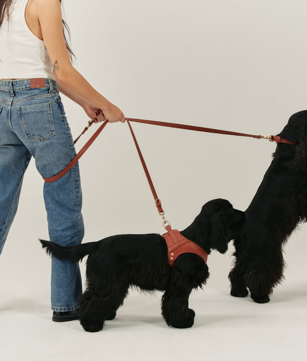 Cafide Correa Multiposición De Cuero Vegano Marrón. Modelo Jala.