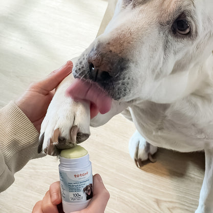 Stick hidratante natural nariz y almohadillas para mascotas Totem Naturals 30 g