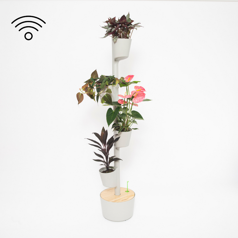 Macetero Vertical Citysens Con Riego Inteligente De 4 Macetas Gris, Con 4 Plantas De Regalo_0