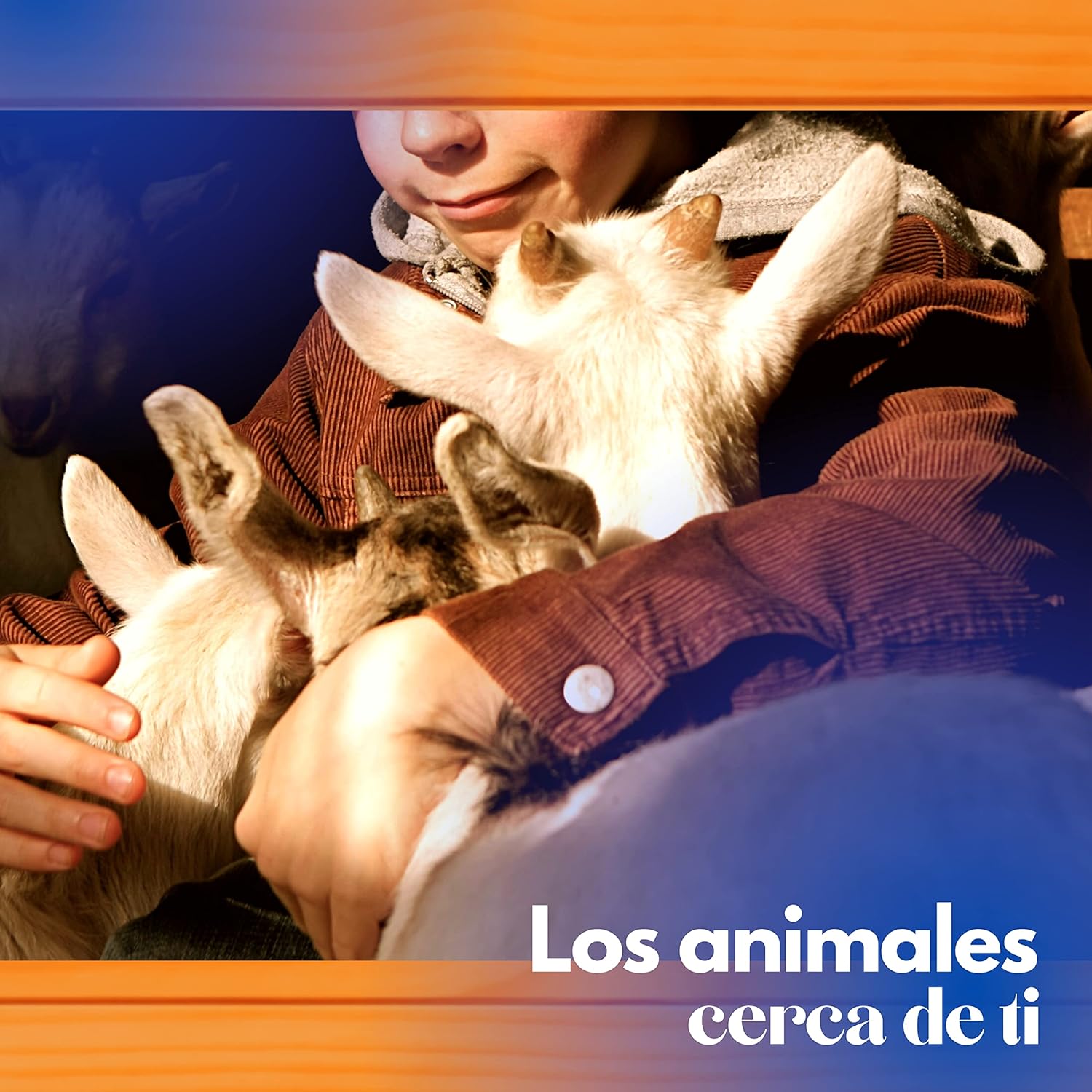 Gallinero Para Pavos Y Otras Grandes Aves - Caseta Para Animales - Refugio Para Cabras Y Ovejas_3