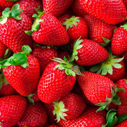 Fragancia Para Lámpara Catalítica Aroma Wild Strawberry (200ml) - Elimina Malos Olores, Perfuma Y Limpia El Ambiente_2