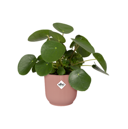 Macetero Vibes Fold Round delicate pink Elho 30 cm