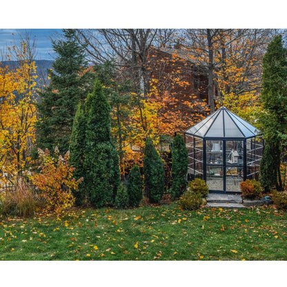 Invernadero hexagonal Oasis 247x213x267 cm