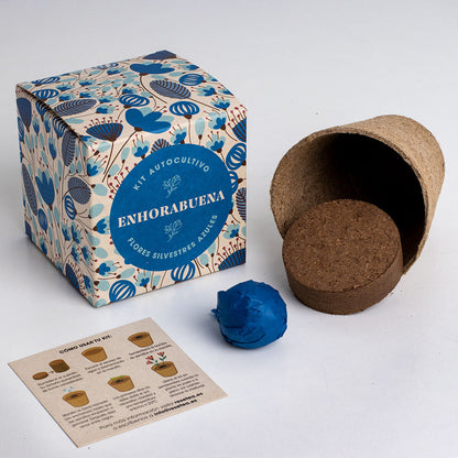 Díselo Con Flores Enhorabuena | Kit Cultivo Flores Silvestres Azules (lino Azul, Nomeolvides Y Flor Celeste)_1