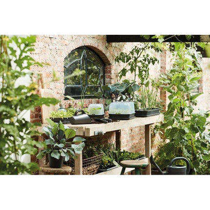 Cubierta Invernadero para bandeja de cultivo Green basics Elho M