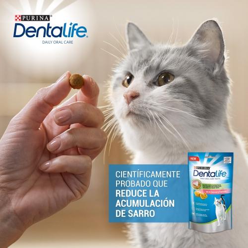 Dentalife Salmón Snack dental para gatos 40 g