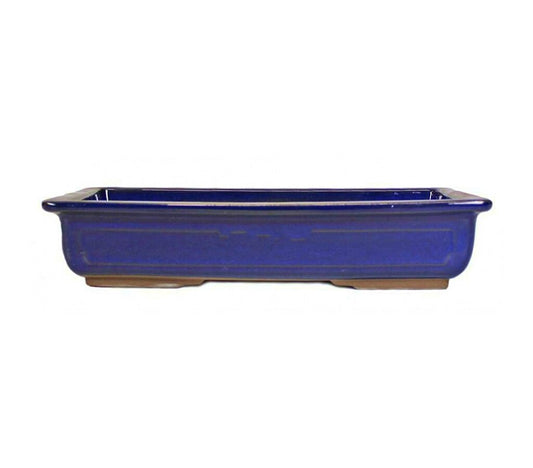 Tiesto Bonsái Rectangular Azul 33cm_0
