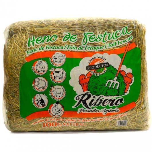 Heno de Festuca Conejos y Roedores 5 kg