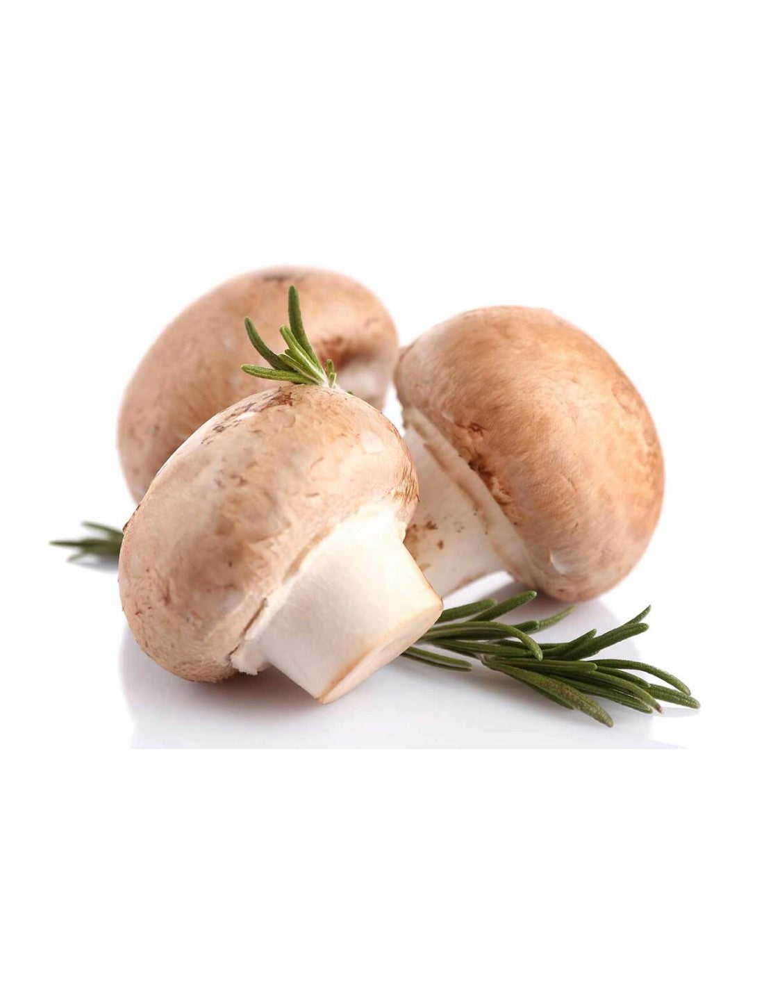 Champiñón Portobello Bio - 500g_0