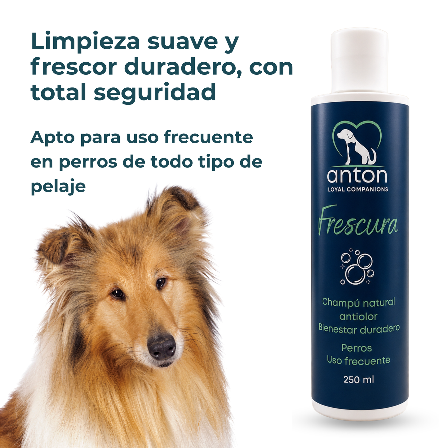 Champú natural para el control de olores en perros – Pack 3 x 250 ml_1