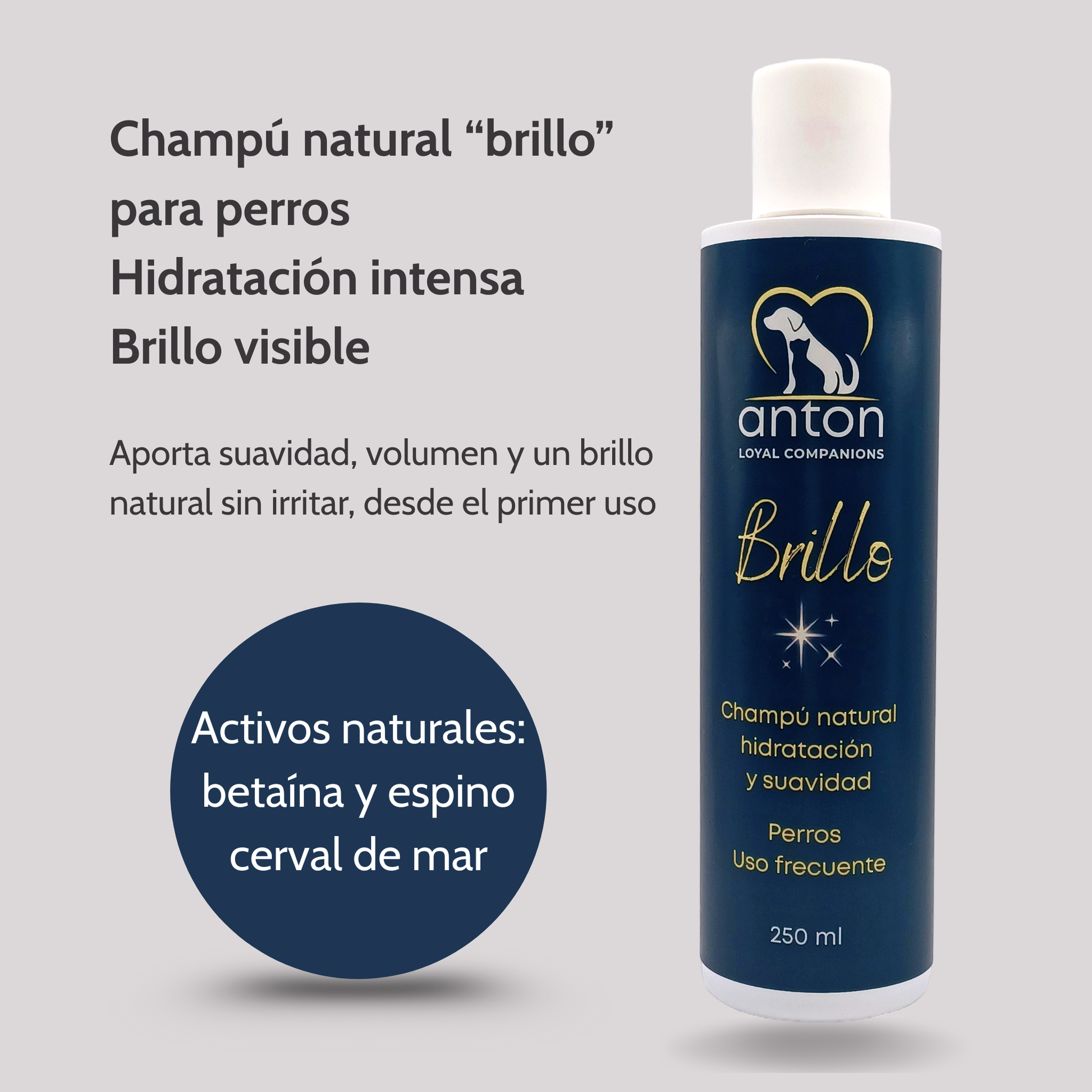 Lote “ritual De Belleza Y Suavidad” – Brillo Natural Y Pelaje Saludable - Para Perros_1