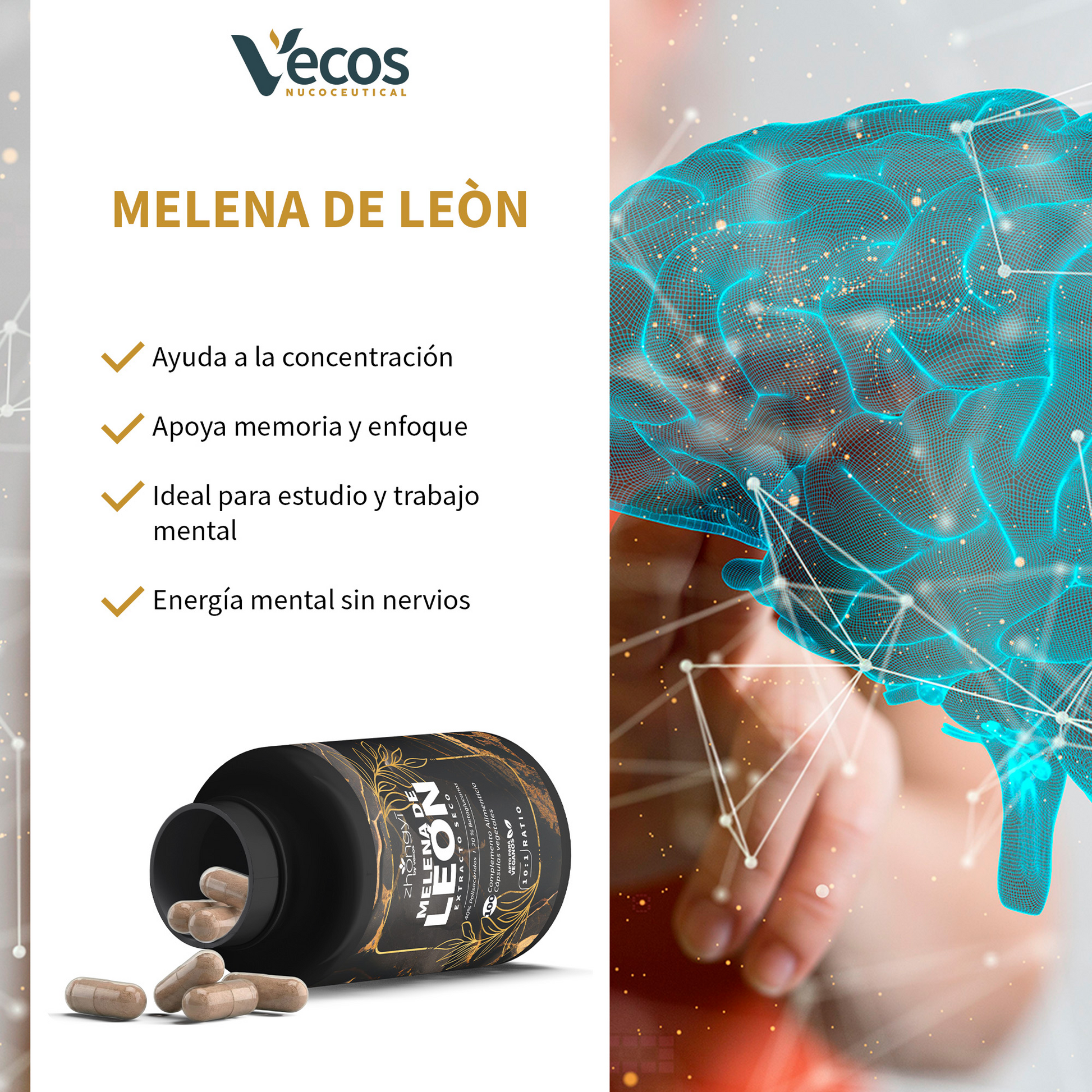 Melena De León 10:1 Vecos 100 Cápsulas | Enfoque Y Claridad Mental | Extracto De 40% + 20% Beta-glucanos_3