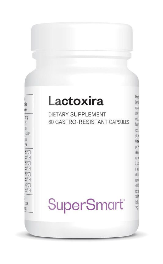 Lactoxira_0
