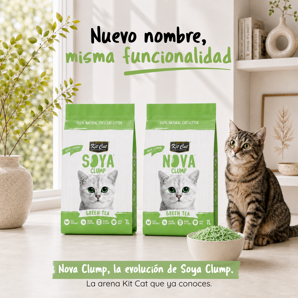 Kit Cat Arena Eco Nova - Green Tea 7 L Arena para gatos
