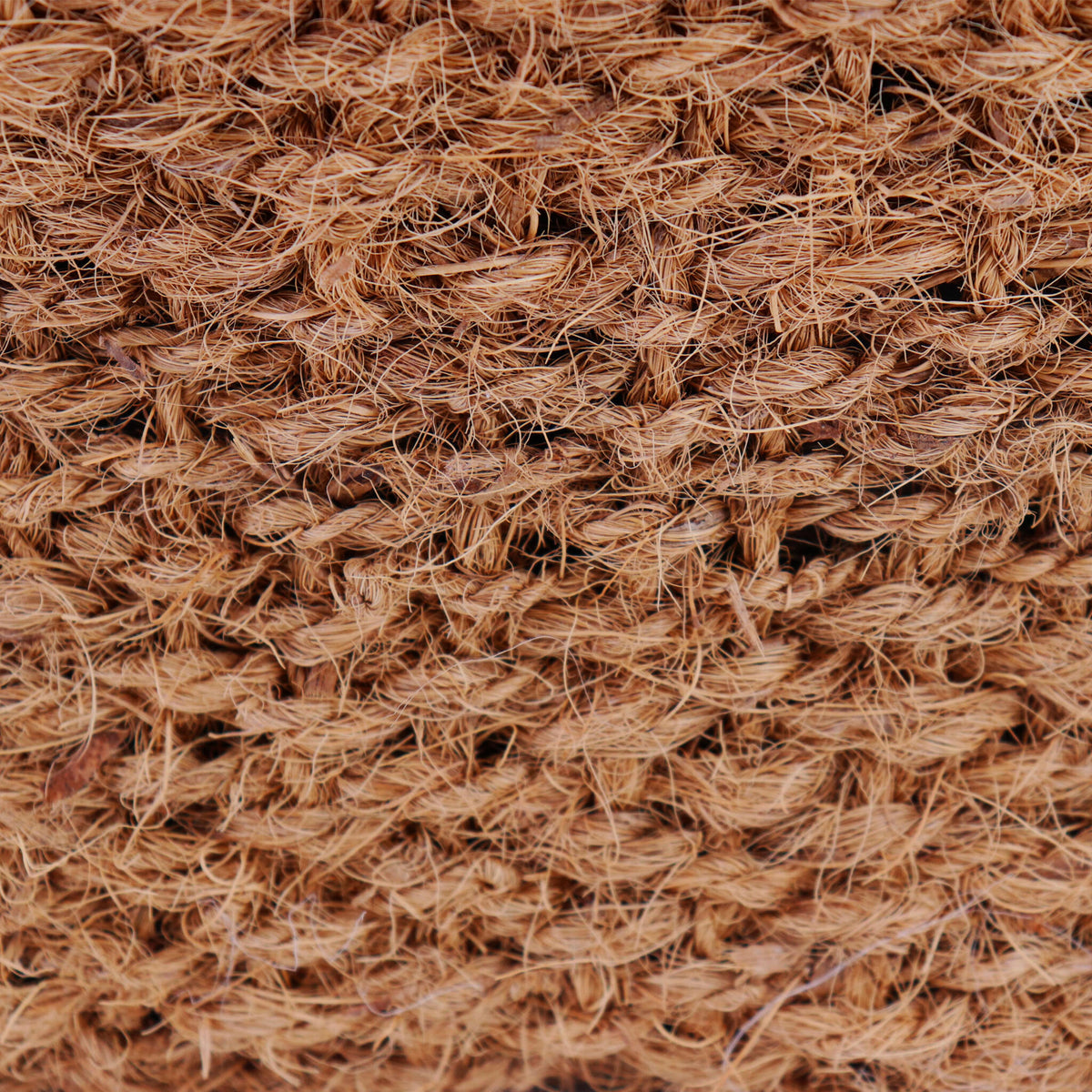 2 Cestas Para Plantas De Coco 25 X 25 X 20 Cm Cesta Para Estanque Para Estera De Banco Y Estera De Terraplén_3