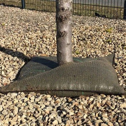 Pack De 6 Cojines De Riego Para Plantas Tree’bed 700.